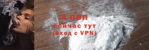 молекула духа Переславль-Залесский
