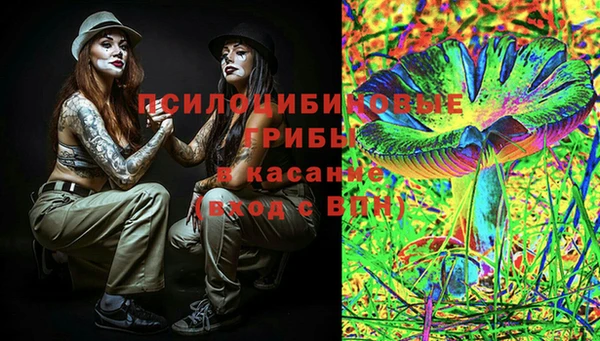 герыч Арсеньев
