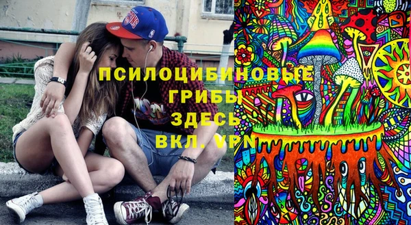 герыч Арсеньев