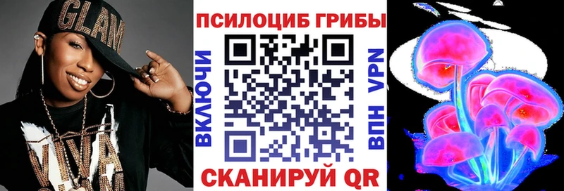 Псилоцибиновые грибы Psilocybe Таруса