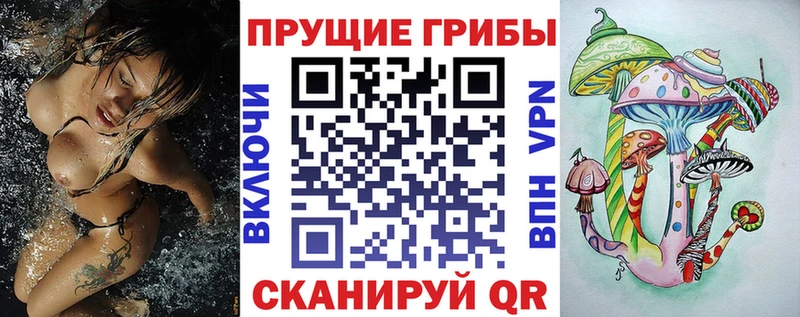 Псилоцибиновые грибы Psilocybe  продажа наркотиков  Таруса 